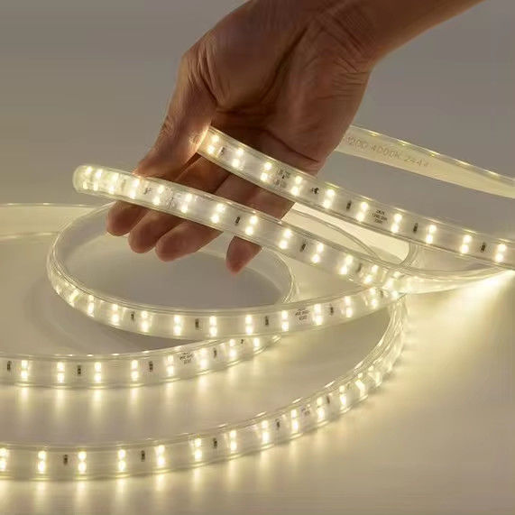220-240V SMD2835 120D 10W/M kleurrijke LED-strook met 80 Cri lange levensduur CE/RoHS gecertificeerd in Zuid-Amerika