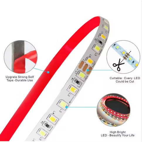 Fabriek verkoop Twee-kleurig CCT led strip licht 24v Kleurtemperatuur Verstelbaar 120led 12v licht 2835 led strip Decoratie