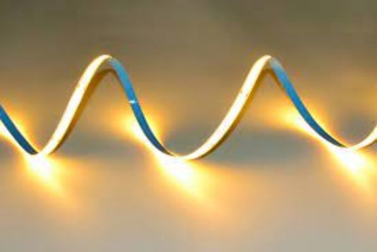 320 leds/m LED COB Flexible Strip DC24V 12V 5m 10W voor landschapsverlichting -25 50C CRI 90