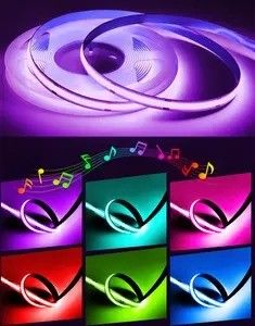 Productgewicht 0,3 kg 5m 10m Smart Strip Light met Dream Color RGB COB Chip LED
