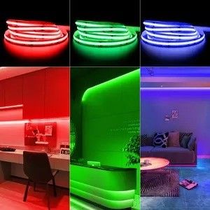 Productgewicht 0,3 kg 5m 10m Smart Strip Light met Dream Color RGB COB Chip LED