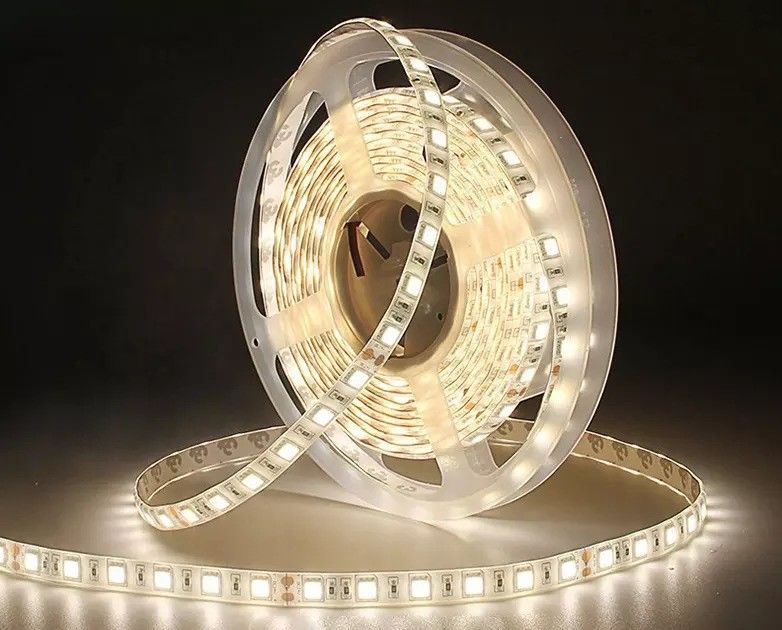 12w 12v 24v 10mm 60 LEDs Rgb 5050 Smd Flexibel LED Strip Light met en Multi Colours