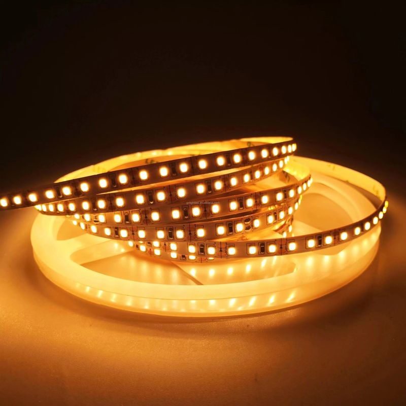 IP20 Landschapsverlichting 5m 10m 12v 24v 220v Rgbw Cob Light Strip
